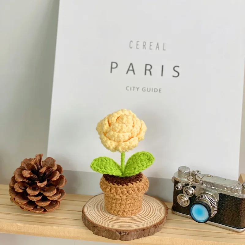Lindos Vasos De Plantas De Crochê E Plantas Artificiais De Tricô.
