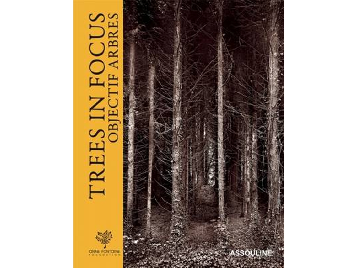 Livro trees in focus de marina silva (inglês)