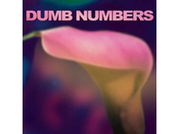 CD Dumb Numbers - Dumb Numbers
