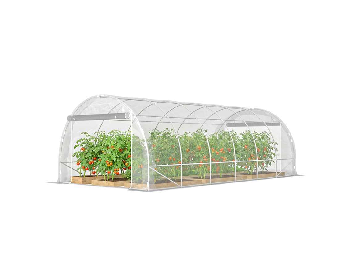 Estufa Tipo Túnel 296x597x199 Cm Com 2 Portas Enroláveis Estrutura De Aço Galvanizado E Cobertura Em Pe 150g/m² Transparente