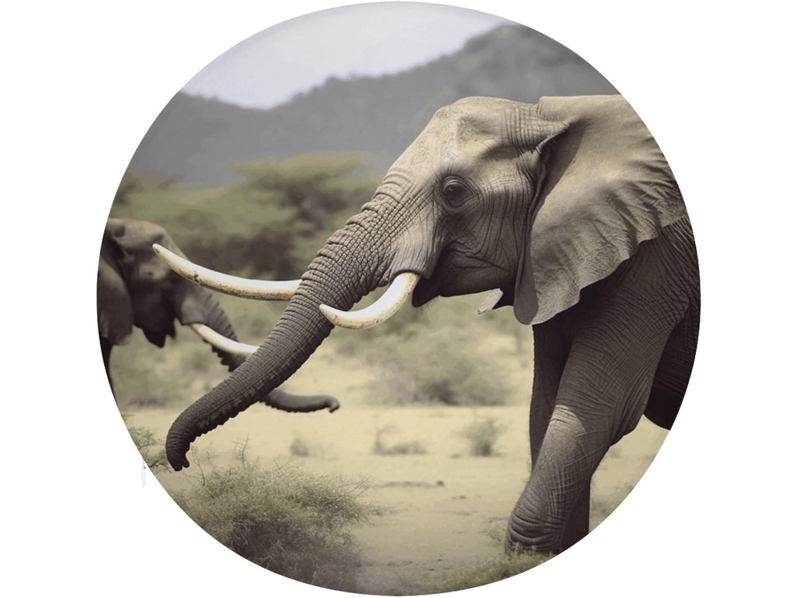 Almofada Redonda De Algodão Com Espuma Viscoelástica Em Formato Elefante Para Cadeira, Almofada Grossa Para Cadeira Com