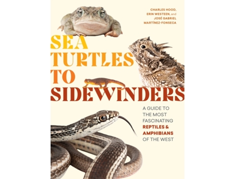Livro Sea Turtles to Sidewinders a Guide to the Most Fascinating Reptiles and Amphibians of the West de Charles Hood, Erin Westeen et al. (Inglês)
