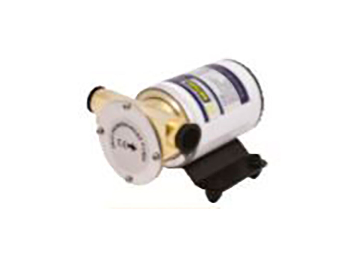 Bomba Elétrica Branco 12Vvetus