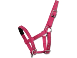 Cabeçada Padded Rosa Foalwaldhausen