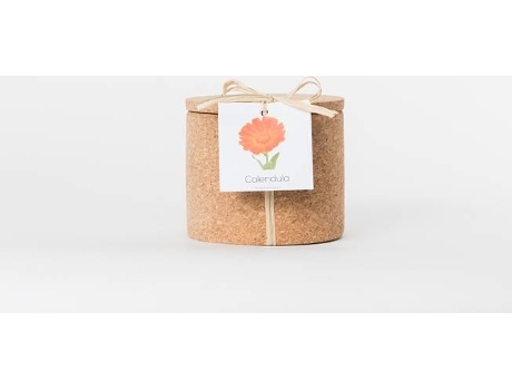 Vaso  Grow Cork Pot Calêndula