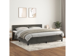 Vidaxl Cama Com Molas/colchão 200x200 Cm Veludo Cinzento-escuro