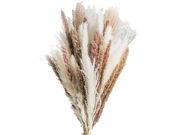 Conjunto de 50 Peças de Capim dos pampas Seco para Decoração de Casa, Casamentos, Festas e Eventos. Flores Artificiais para Decoração. AQUAFORGE