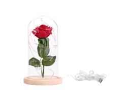 Laxiscreed Rosa Preservada Com Led E Base De Vidro – Presente Perfeito Para Namorados E Casamentos