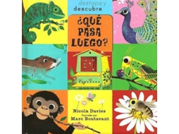Livro .Que Passara?. de M Boutavant e N Davies
