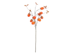 Buquê De Caqui Com 9 Frutas Decorativo Fácil De Transportar