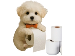 Suporte Para Papel Higiênico Com Organizador - Decoração Charmosa Para Quarto |