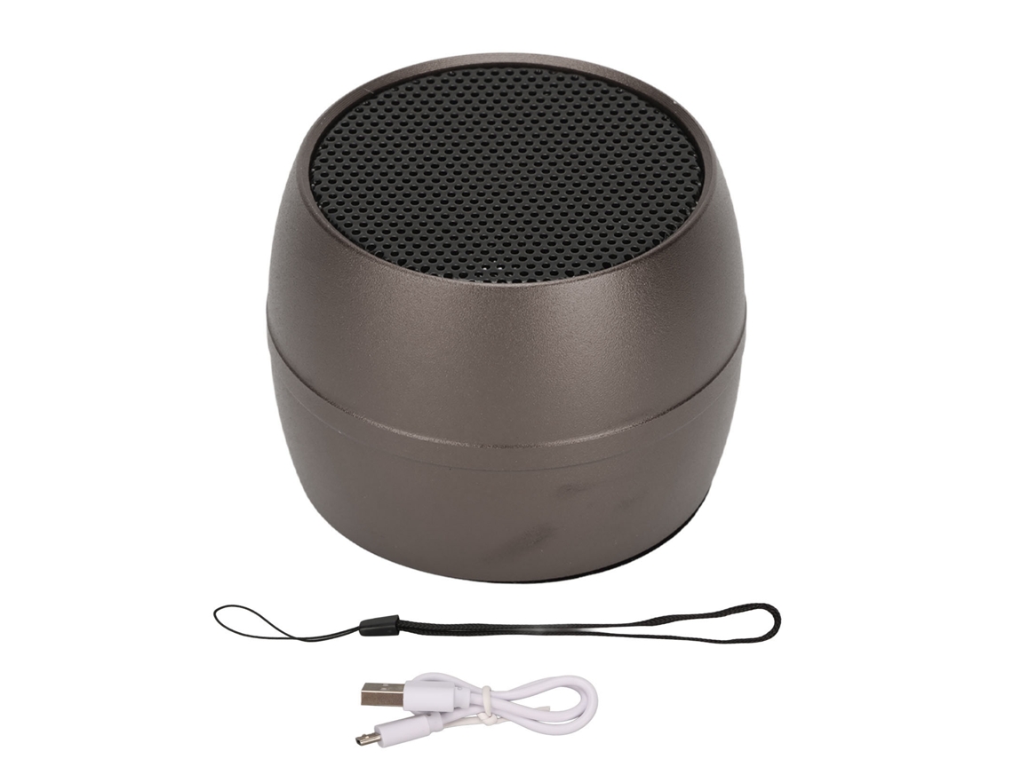 Altifalante Bluetooth Portátil Ip67 LAXISCREED