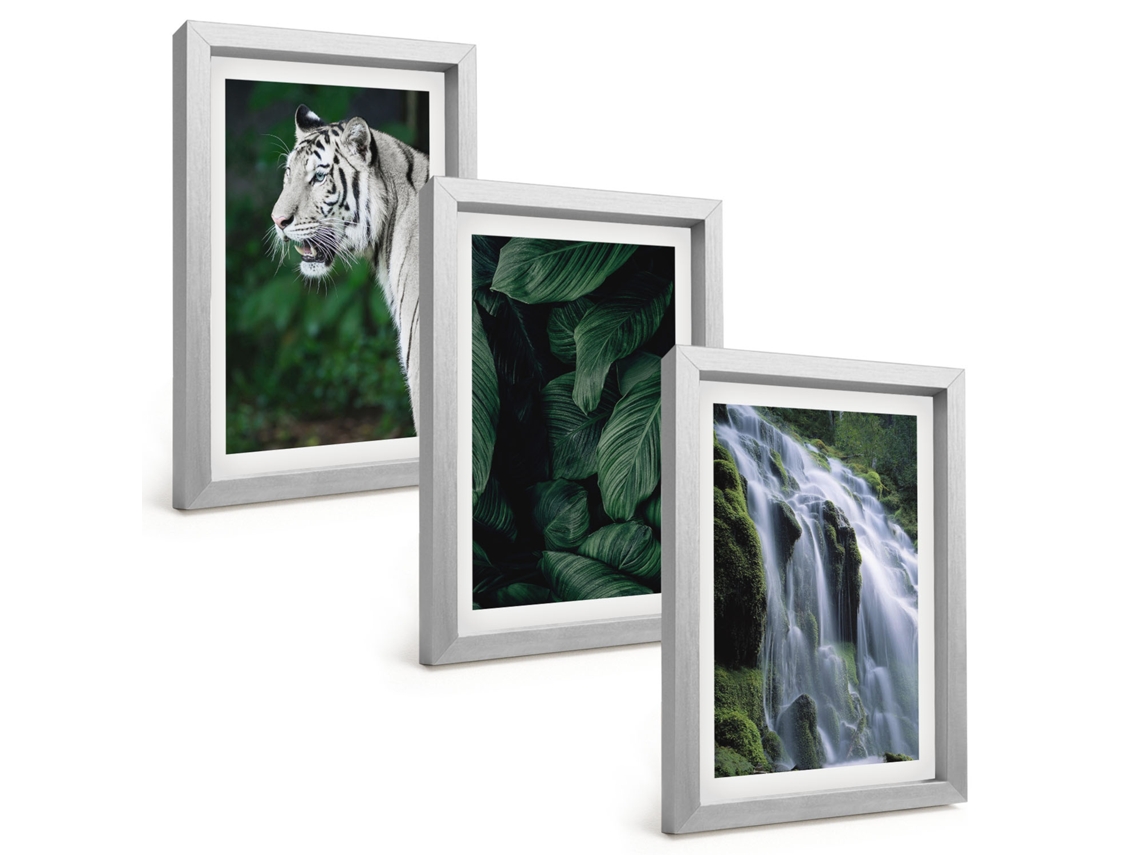 Composição De Quadros Folhas De Tigre Branco Em Cachoeira Espelharte (3 Peças 20x30 Cm)