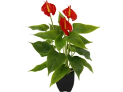 Antúrio Vermelho Exótico, Plantas Vivas Para Ambientes Internos, Antúrio Vermelho Seda Real Touch, Atraente O Ano Todo Para Decoração De Escritório E