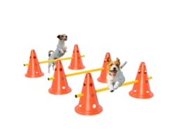 Conjunto Agility Cão 3peças, Barreiras+6cones+3bolsas Transporte Ge