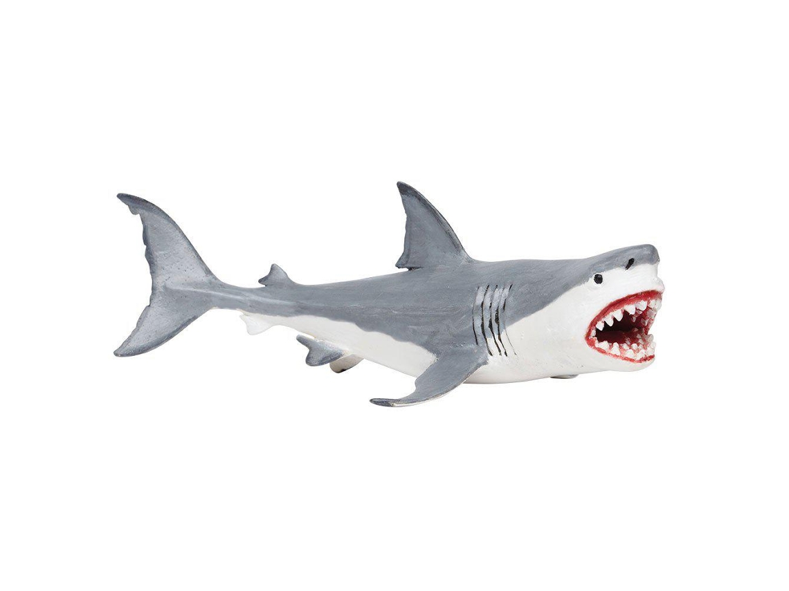 SAFARI Megalodon
