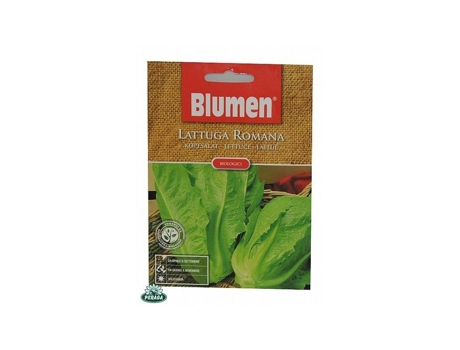 Sementes De Alface Romana Orgânica Blumen Insalata Semi Seeds