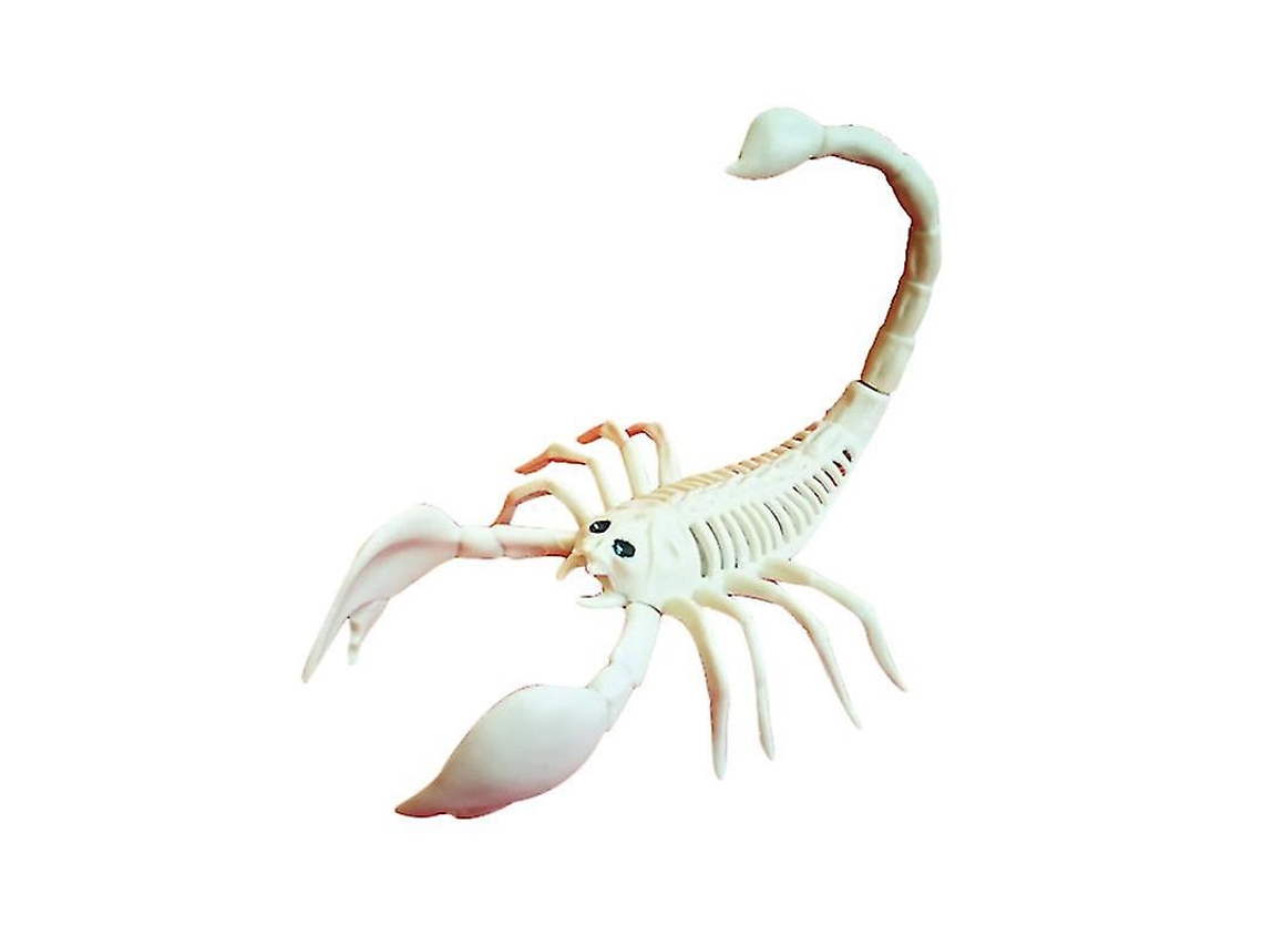 Brinquedo De Escorpião Para Decoração De Halloween Ly Ebike