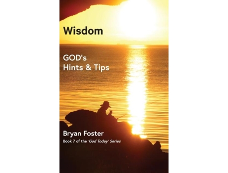Livro Wisdom Gods Hints And Tips De Foster, Bryan Et Al. (inglês)