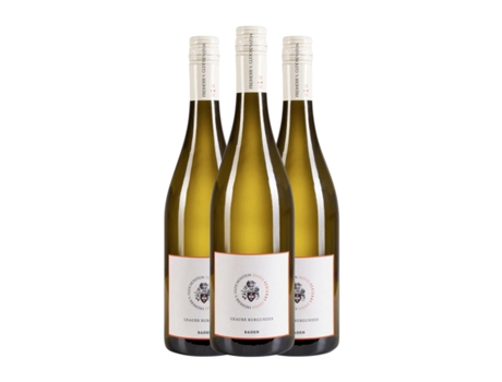 Vinho branco FREIHERR VON GLEICHENSTEIN Hofgarten Kabinett mit Prädikat Pinot Cinza Seco Baden (0.75 L - 3 Unidades)