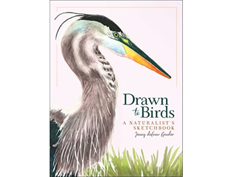 Livro Drawn to Birds de Jenny Defouw Geuder (Inglês - Capa Dura)