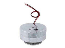 Altavoz de Resposta Completa 50mm 2 Polegadas | S/MARCA