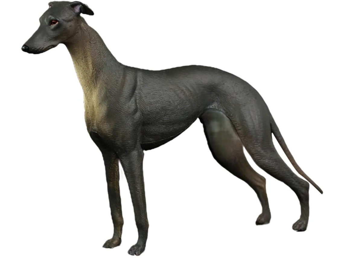 Modelo De Cachorro Selvagem De Plástico Preto, Figura Realista, Brinquedo Educativo Para Meninos