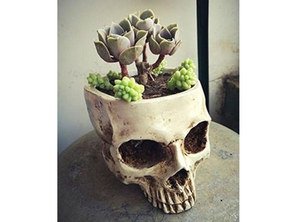 Maceta Calavera De Halloween De Resina Sintética Color Crema Blanca Tamaño 15.6x12x9.7 Cm