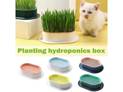 Caixa de cultivo hidropônico sem solo para grama de gato com prato à prova de derramamento, branca e azul.
