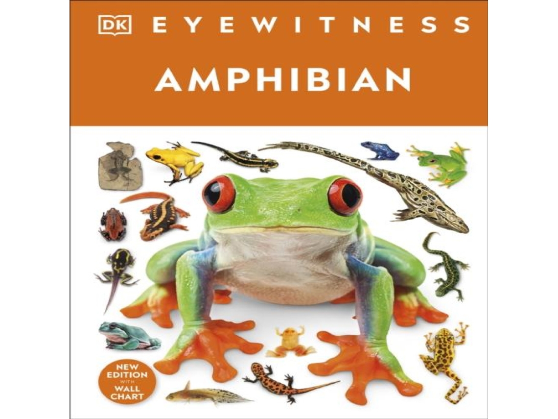 Livro Eyewitness Amphibian de Dorling Kindersley Ltd (Inglês)
