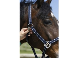 Cabeçada Grooming Azul Ponynorton Equestrian