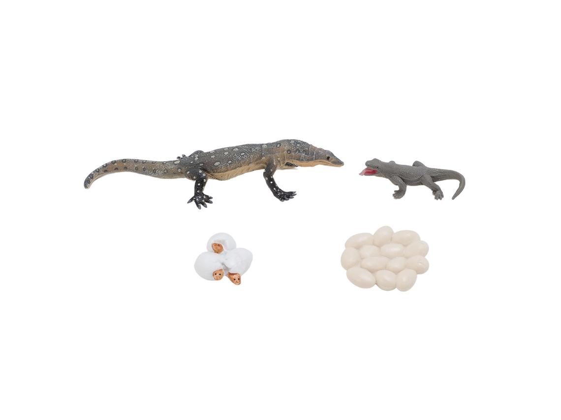 Mali 4 Pcs Brinquedo Ciclo de Vida Lagarto Pvc Realista Educacional Reptil Animal