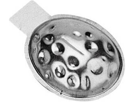 Molde noz  Delícia (24un)