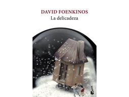 Livro La Delicadeza de Foenkinos e David