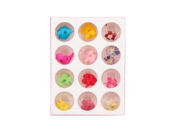 12 Cores Flores Secas Naturais Para Decoração De Unhas Artísticas Uv Gel Diy Estojo De Design