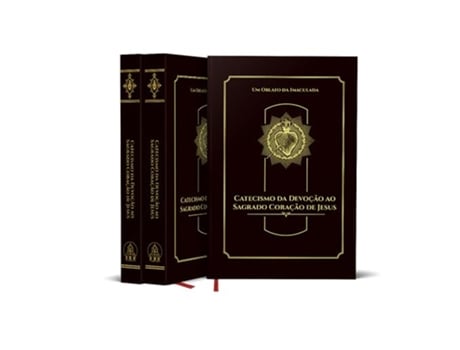 Livro Catecismo Da Devoção Ao Sagrado Coração De Jesus De Diversos (português Do Brasil)