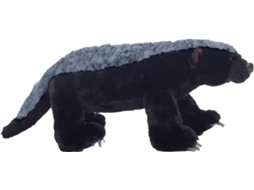 Texugo-do-mel Macho - Pelúcia De Texugo-do-mel, Macia Animal Selvagem