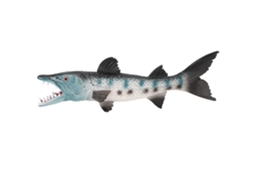 Mali brinquedo Modelo Peixe lobo Marinho, Figura de Vida Marinha, Jogo Educativo para Crianças M 1335