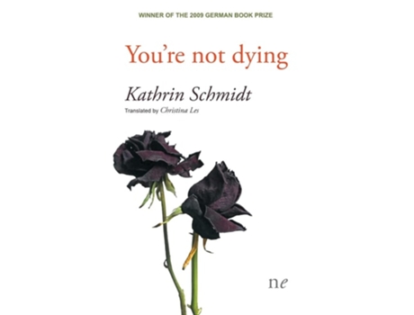 Livro Youre Not Dying De Kathrin Schmidt (inglês)