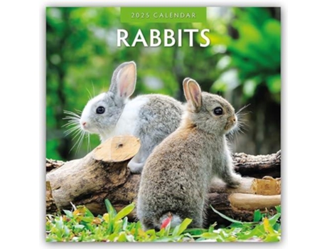 Livro Rabbits 2025 Square Wall Calendar de Red Robin (Inglês)