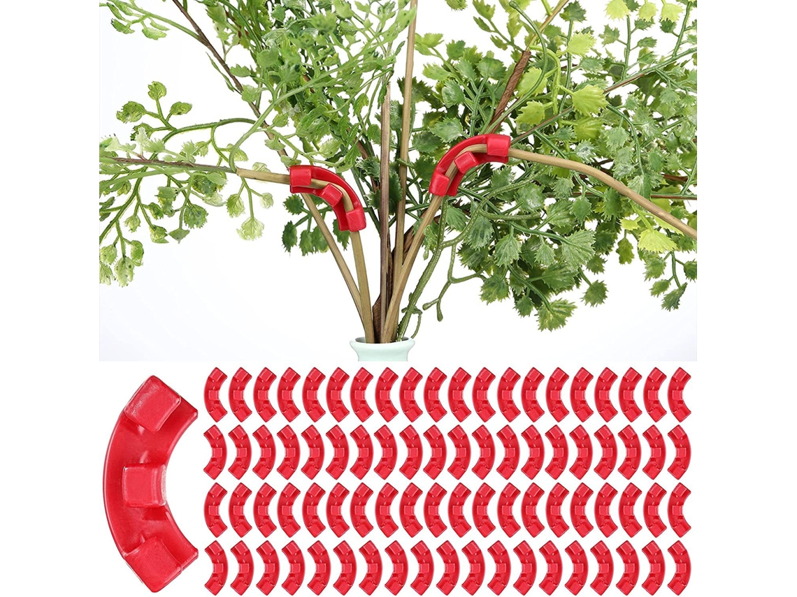 Grampos de Treinamento para Plantas AQUAFORGE