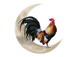 Decoração de Parede em Metal Galo e Lua