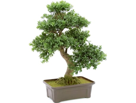 Planta Artificial EUROPALMS Bonsai (Verde - 61 cm)