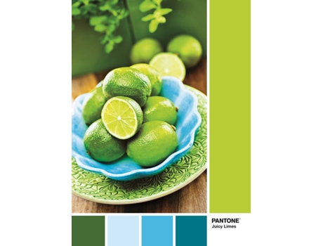 Puzzle  Pantone Zumo De Limas (1000 Peças)