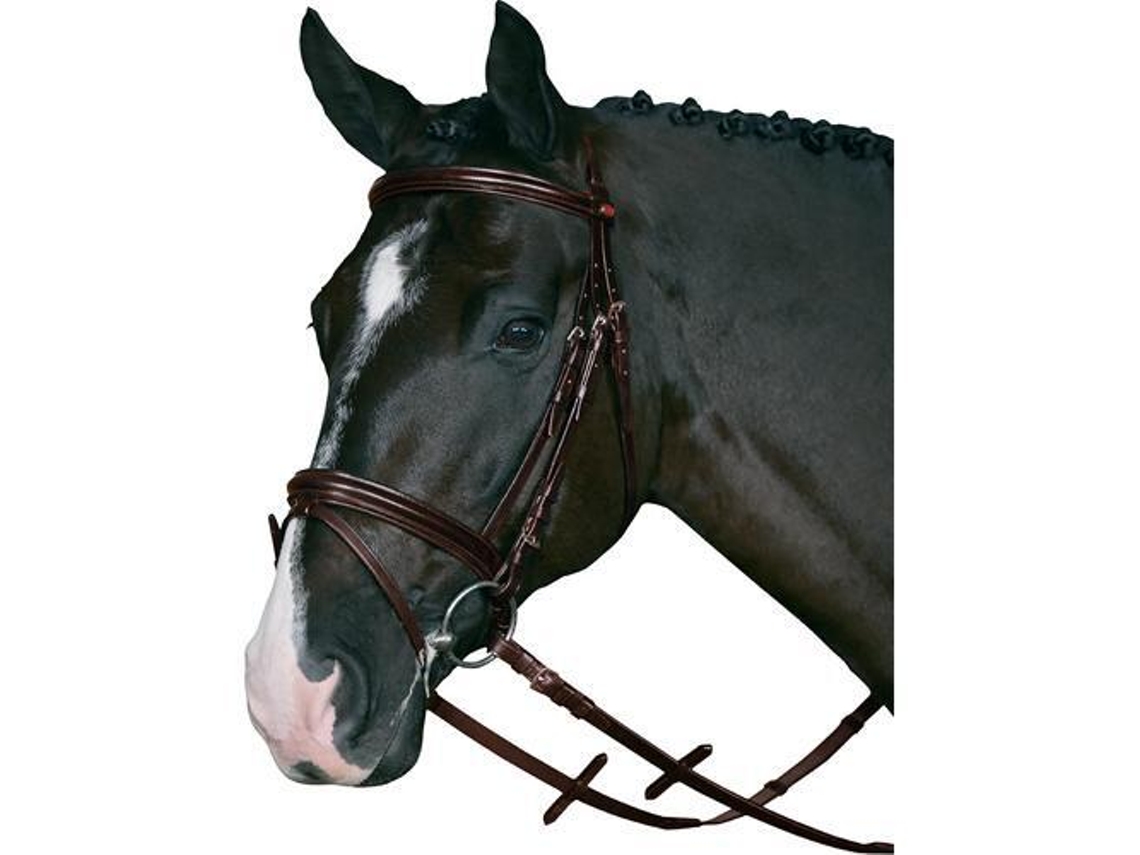 Cabeçadas de Equitação com Ponteira HORSEGUARD