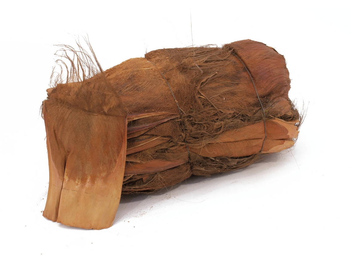 Planta Artificial EUROPALMS Coconut-Bark (Castanho - 1 kg)