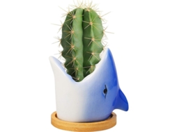 Maceta de Cerámica Tiburón para Suculentas y Cactus BRILVIBERA