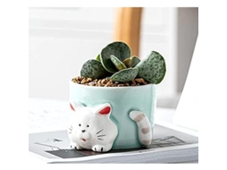 Macetas De Cerámica Mini Com Padrão De Animal Cute Katze Azul Para Suculentas E Decoração De Casa E Escritório