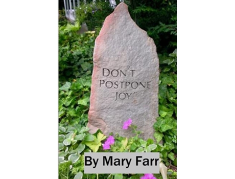 Livro Dont Postpone Joy de Mary Farr (Inglês)