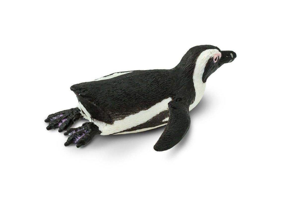 SAFARI South African Penguin